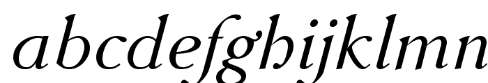 AccanthisADFStdNo3-Italic Font LOWERCASE