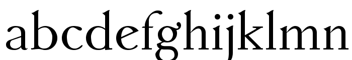 AccanthisADFStdNo3-Regular Font LOWERCASE
