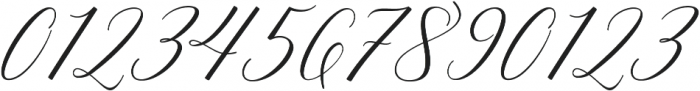 Adelicia Script Rough otf (400) Font OTHER CHARS