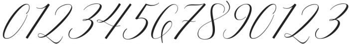 Adelicia Script otf (400) Font OTHER CHARS