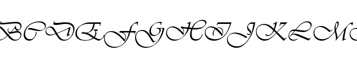 Agnez Lovely Italic Font UPPERCASE