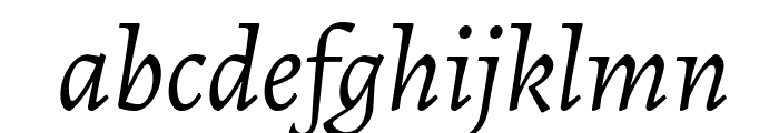 Alegreya Italic Font LOWERCASE