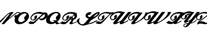 Alfaowner Script Bold Italic Font UPPERCASE