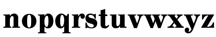 AnglicusOpti-Bold Font LOWERCASE