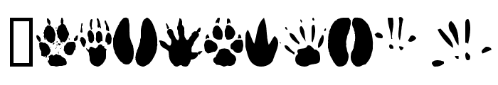 AnimalTracks Font OTHER CHARS