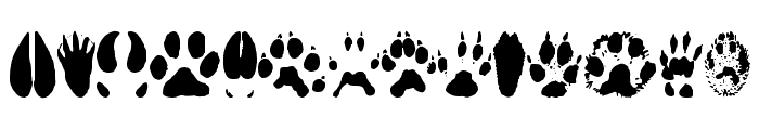 AnimalTracks Font UPPERCASE