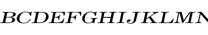 Annual Extended Italic