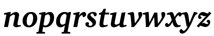 Apparatus SIL Bold Italic Font LOWERCASE