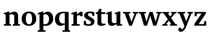 Apparatus SIL Bold Font LOWERCASE