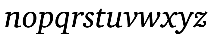 Apparatus SIL Italic Font LOWERCASE