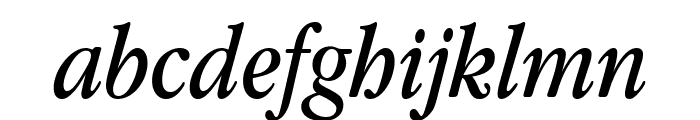 Apple Garamond Italic Font LOWERCASE