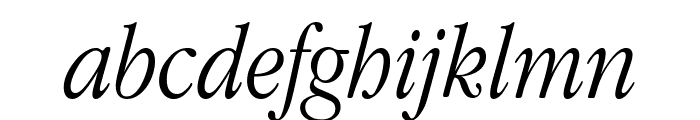 Apple Garamond Light Italic Font LOWERCASE