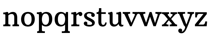 Arbutus Slab Font LOWERCASE
