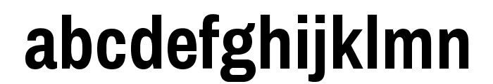 ArchivoNarrow-Bold Font LOWERCASE
