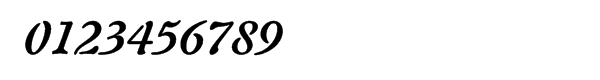 Auriol™ Bold Italic Font OTHER CHARS