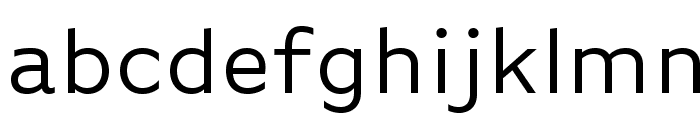 BasicGothicOT Font LOWERCASE