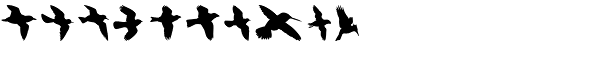 Birds Flying Font OTHER CHARS