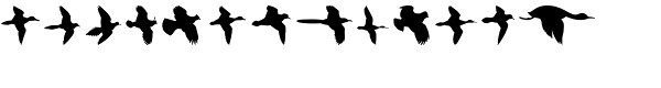 Birds Flying Font LOWERCASE