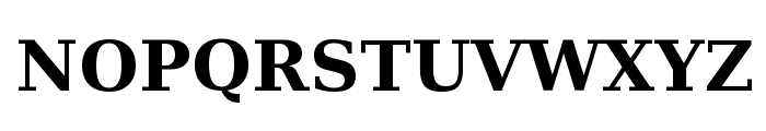 Bitstream Vera Serif Bold Font UPPERCASE