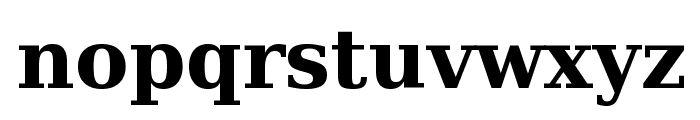Bitstream Vera Serif Bold Font LOWERCASE