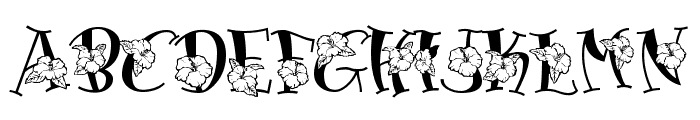 Blossom Font UPPERCASE