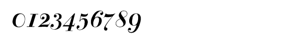 Bodoni Classics Bold Italic Swash Font OTHER CHARS