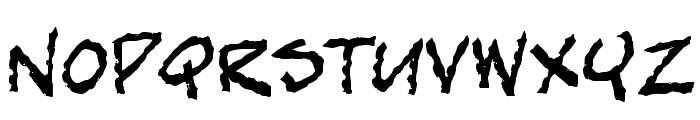 bobTag Font LOWERCASE
