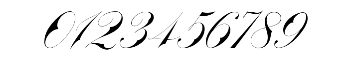Bradstone-Parker Script Limited Free Version Font OTHER CHARS