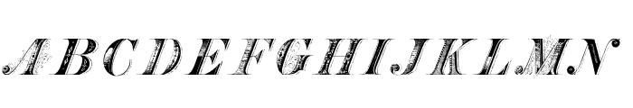Braham WF Italic