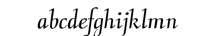 CalligraphyFLF Font LOWERCASE