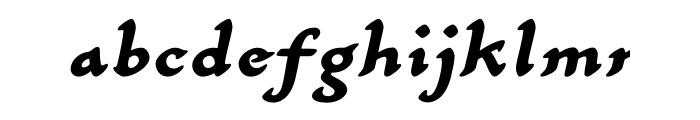 Carlin Script Std Bold Italic Font LOWERCASE