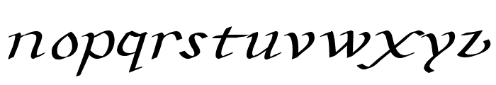 CarolusKlein-Oblique Font UPPERCASE