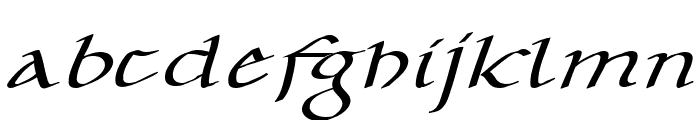 CarolusKlein-Oblique Font LOWERCASE