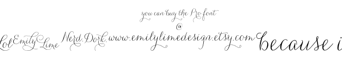 CarolynaWords Font LOWERCASE