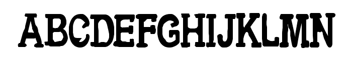 CF Metropolis Serif Regular Font LOWERCASE