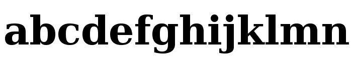 CheapProFonts Serif Pro Bold Font LOWERCASE