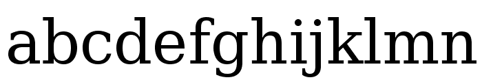 CheapProFonts Serif Pro Regular Font LOWERCASE