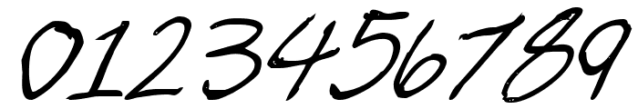 Cheyenne Hand Bold Italic Font OTHER CHARS
