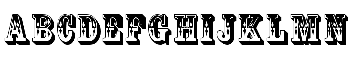 CoffeeTin Initials Font LOWERCASE