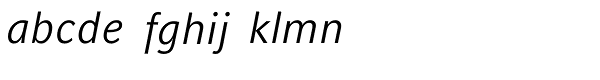 Compatil Fact Com Italic Font LOWERCASE