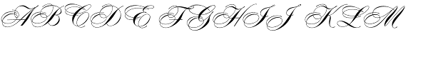 Your Image