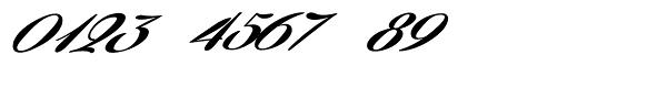 Coneria Script Slanted Fat Font OTHER CHARS