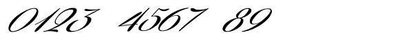 Coneria Script Slanted Medium Font OTHER CHARS