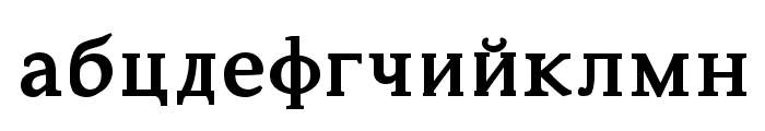 Constantin Bold Font LOWERCASE