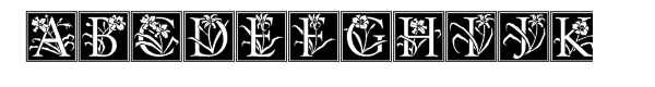 Daylilies Font UPPERCASE
