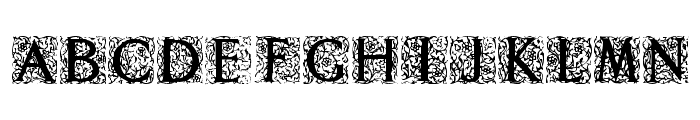 Decorated Roman Initials Font LOWERCASE