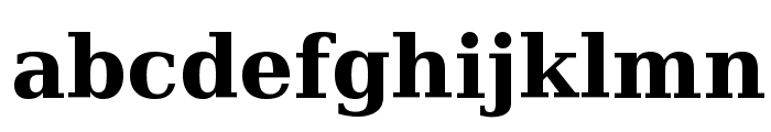 DejaVu Serif Bold Font LOWERCASE