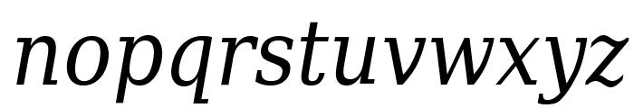 DejaVu Serif Condensed Italic Font LOWERCASE