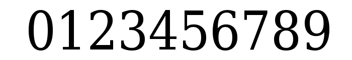 DejaVu Serif Condensed Font OTHER CHARS