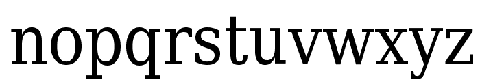 DejaVu Serif Condensed Font LOWERCASE